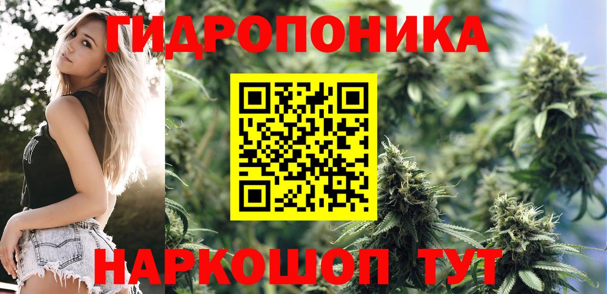 Конопля гибрид  Бошки Шишки ГИДРОПОН  Бошки Шишки SATIVA & INDICA  Марихуана тримм  Краснодар  Вход с VPN 